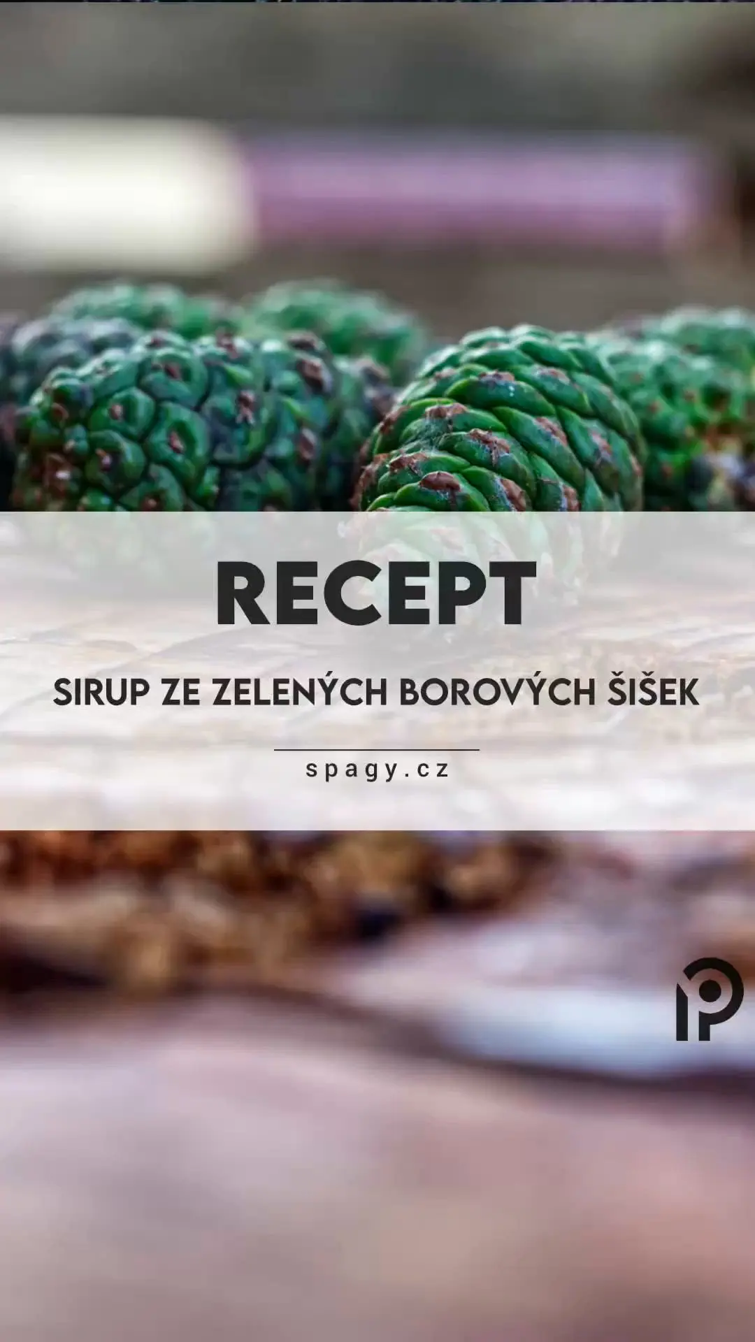 creation thumb for  Sirup ze zelených borových šišek/Green Pine Cone Syrup