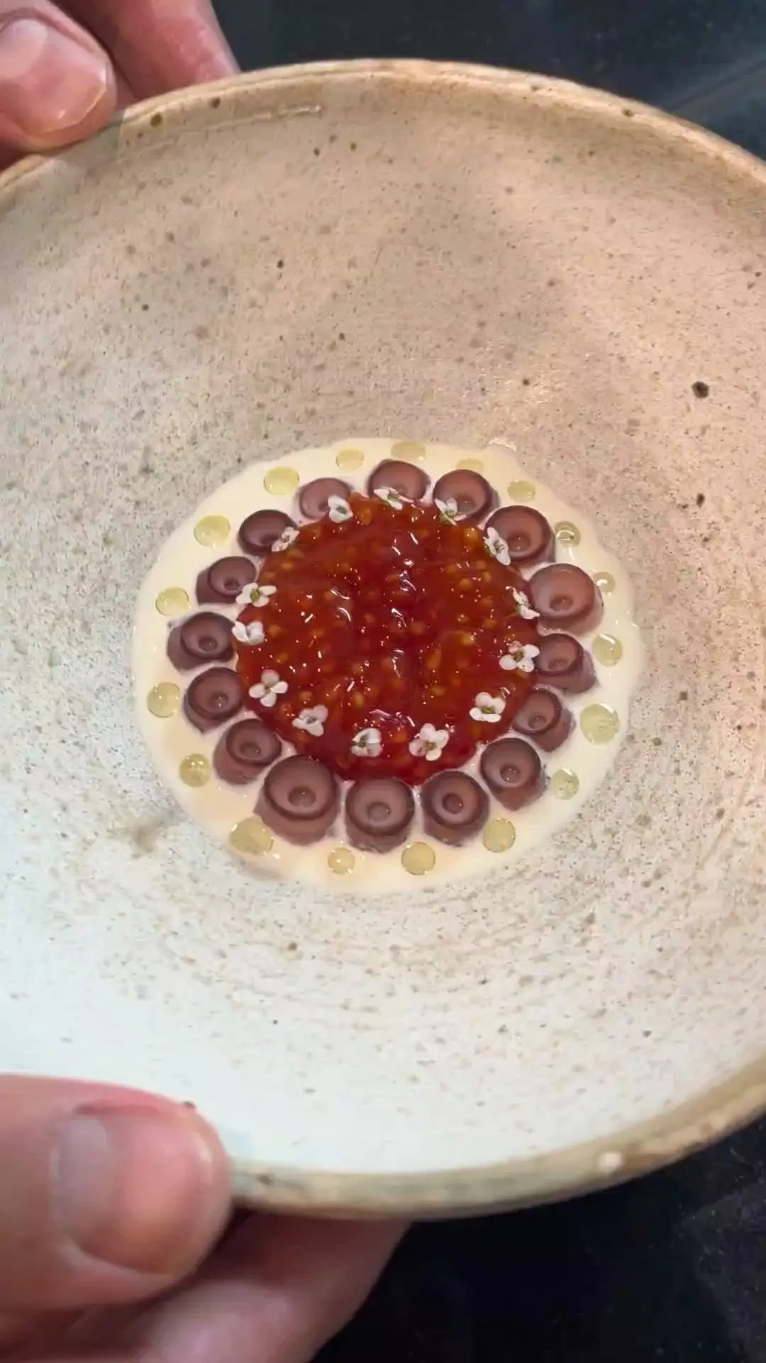 creation thumb for Octopus, Tomato & Quinoa