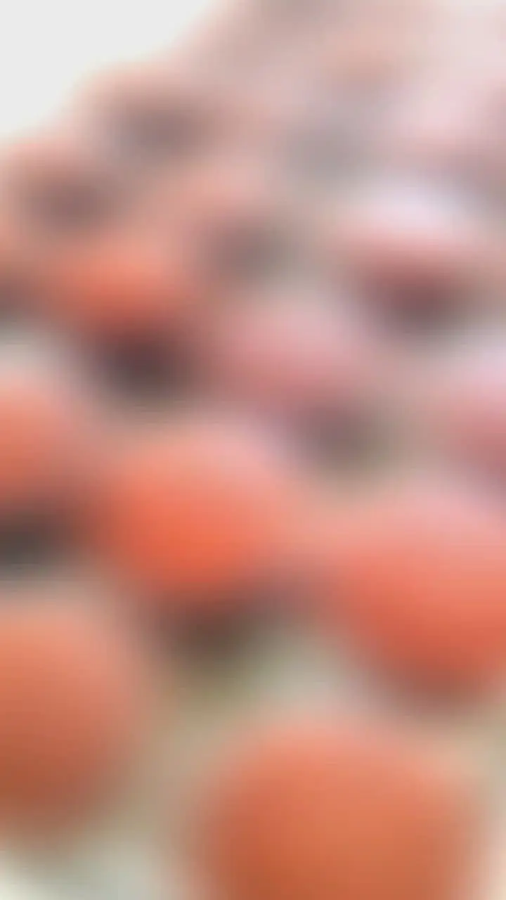 creation thumb for Schokoladen-Cupcakes
