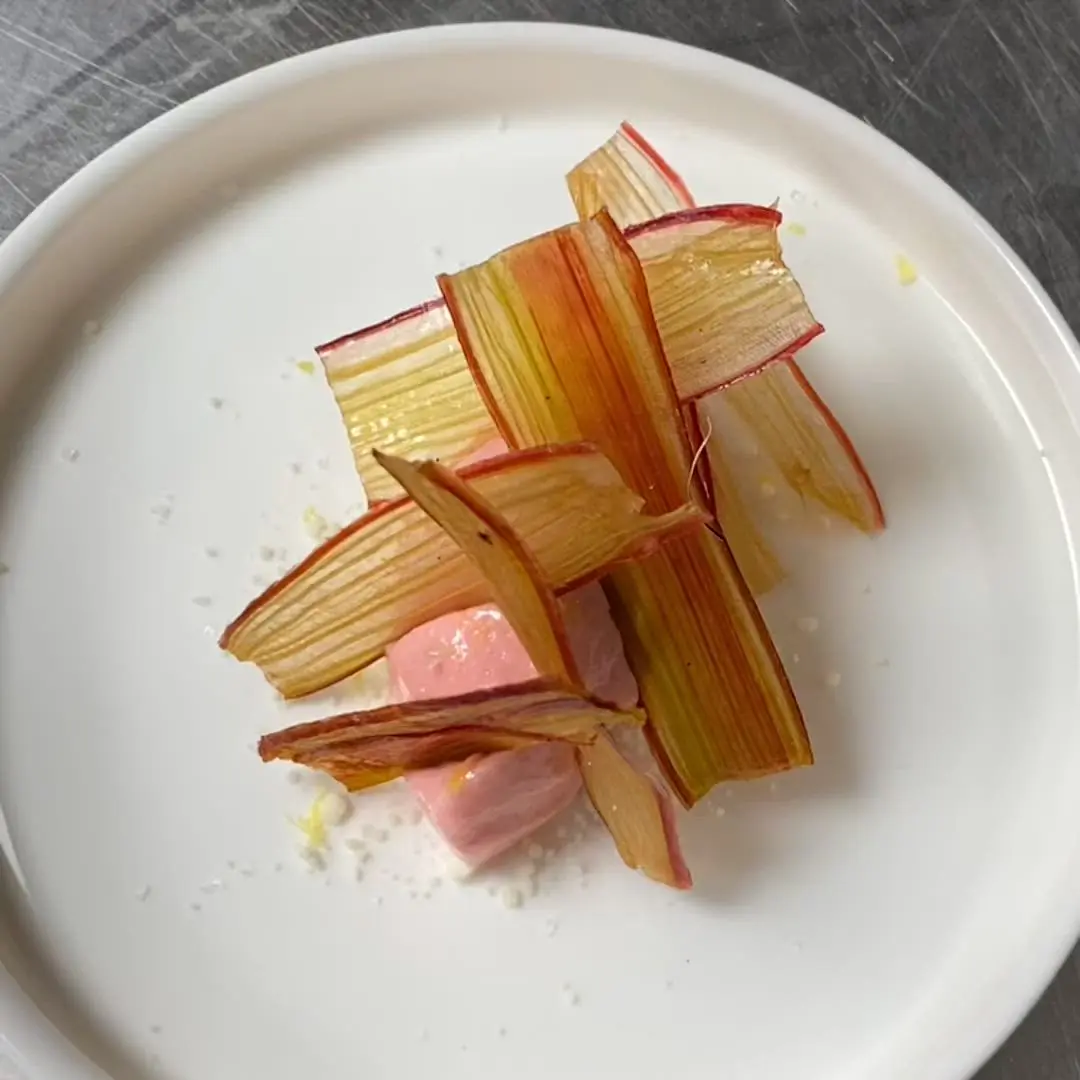 creation thumb for Fermented rhubarb sorbet