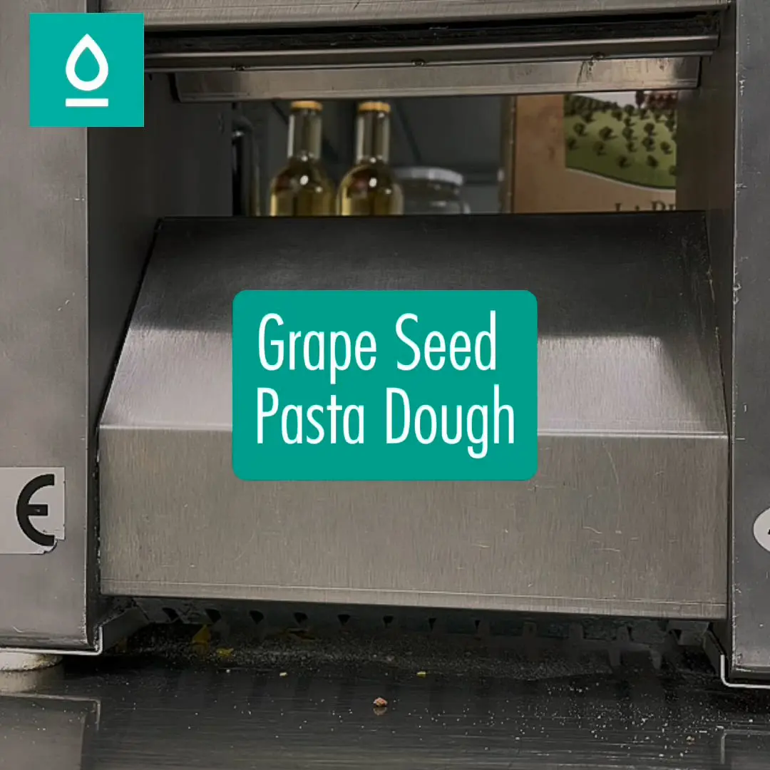 creation thumb for Grape Seed Pasta Dough