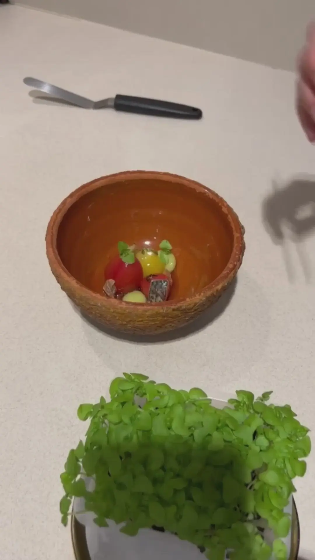 creation thumb for Raisined Tomatoes & Grilled Mackerel