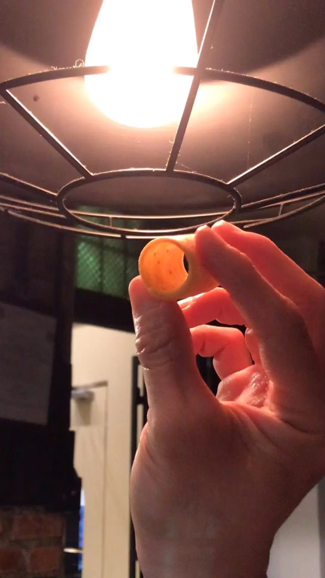 creation thumb for Carom Seeds Cylinder 