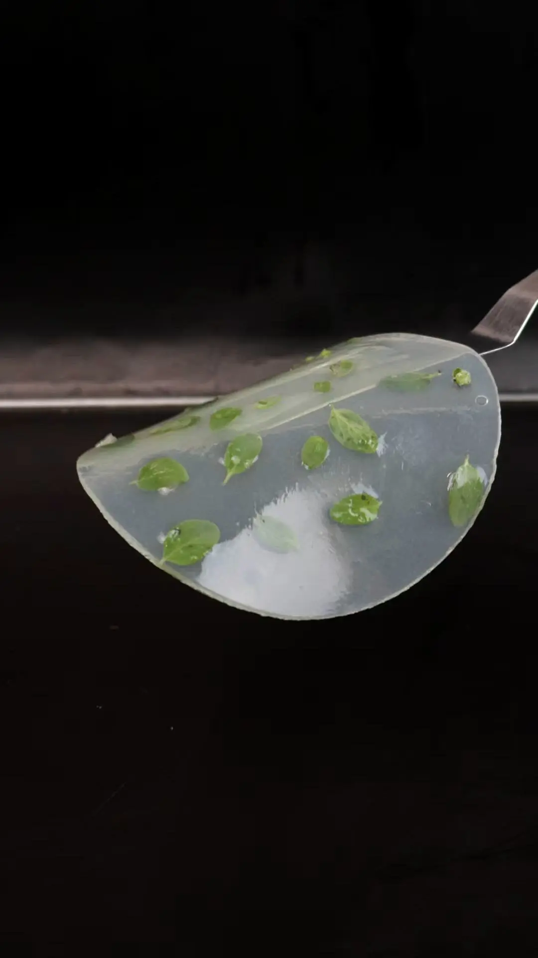 creation thumb for Tomato and Marjoram Veil