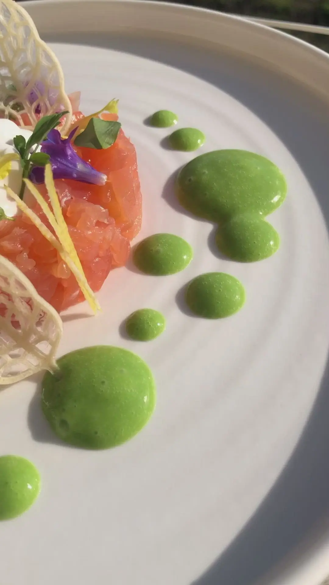 creation thumb for Lachs-Tartar mit Mozzarella-Schaum