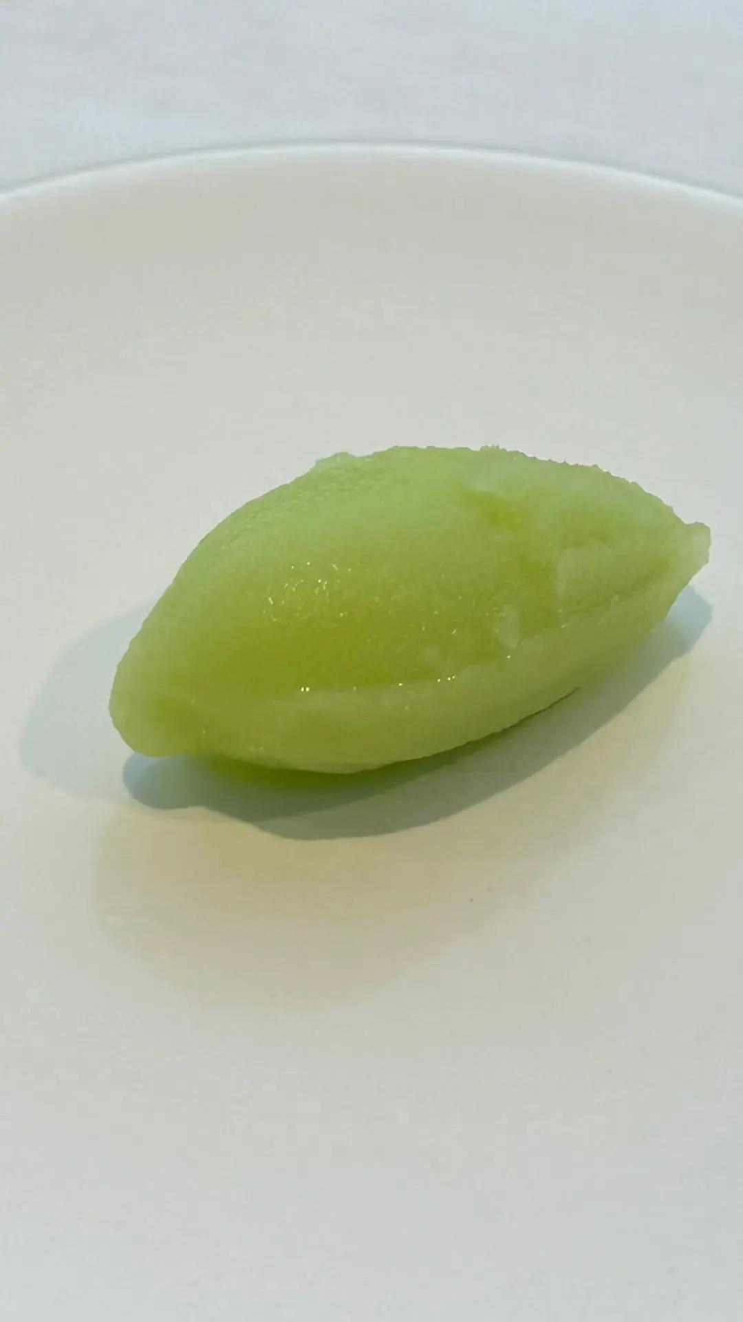 creation thumb for Aloe Vera and Prickly Pear Sorbet
