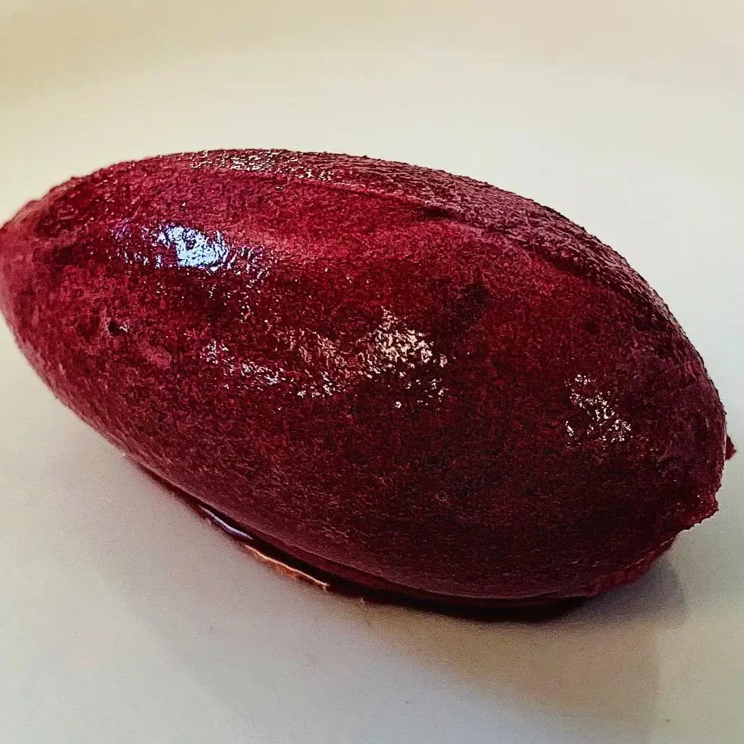 creation thumb for Elderberry & Rose Sorbet
