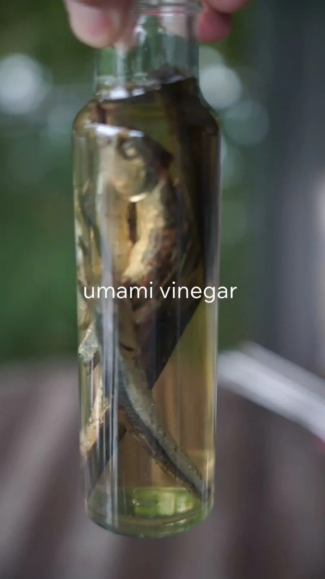 creation thumb for Aceto Umami