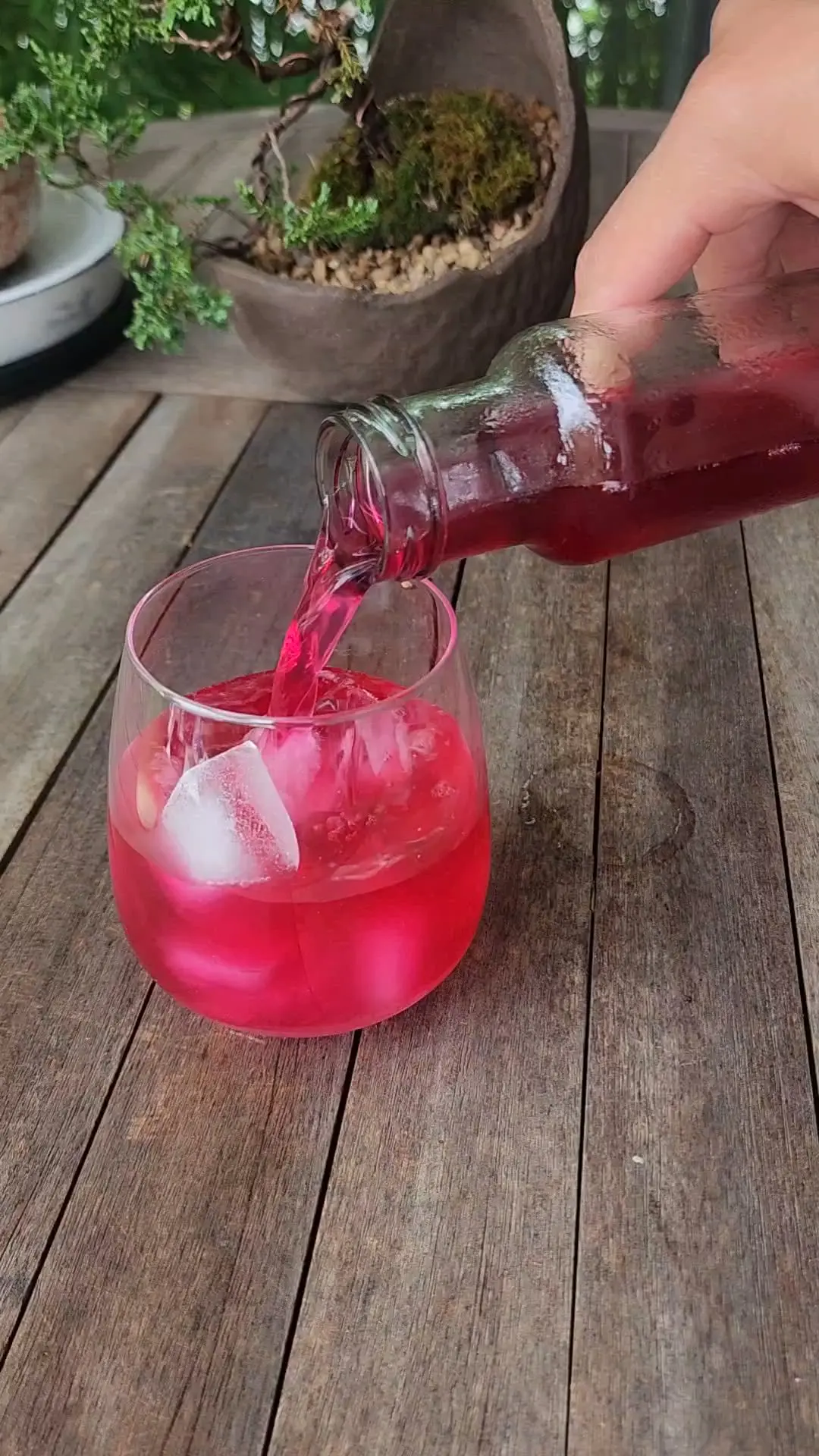 creation thumb for Shiso kombucha