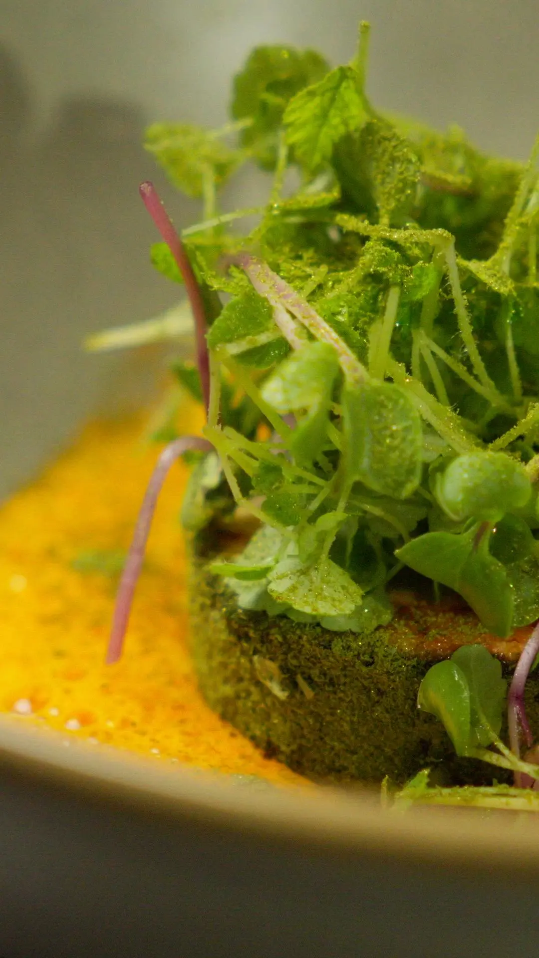 creation thumb for Bell pepper and bisque foam 