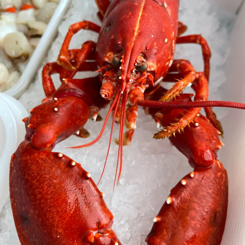creation thumb for Lobster Thermidor