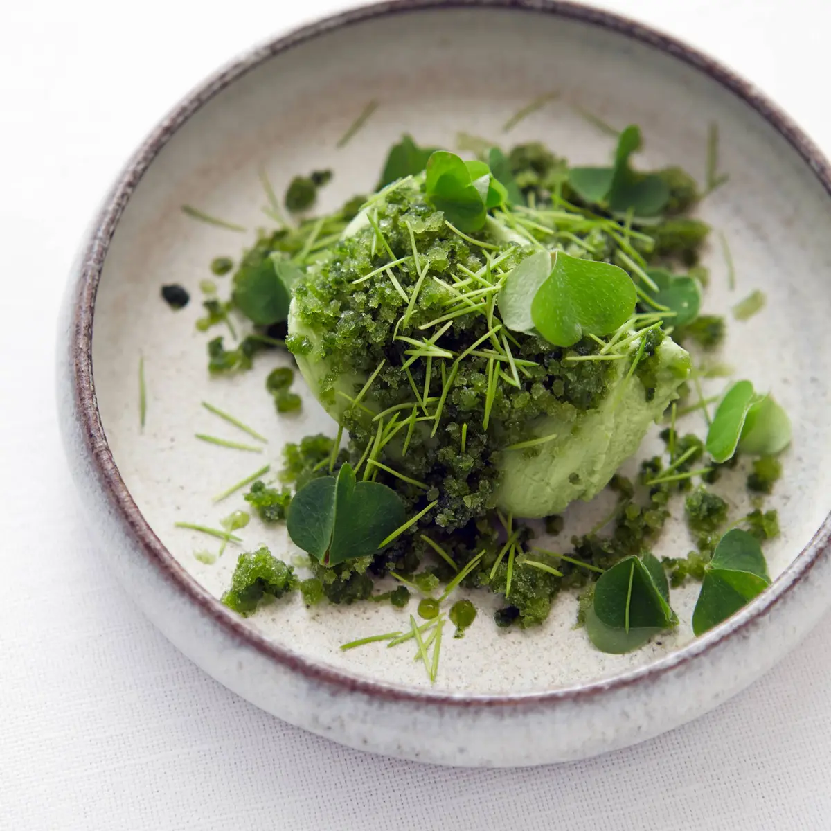 creation thumb for Sorrel Ice Cream with Cucumber & Spruce Shoots