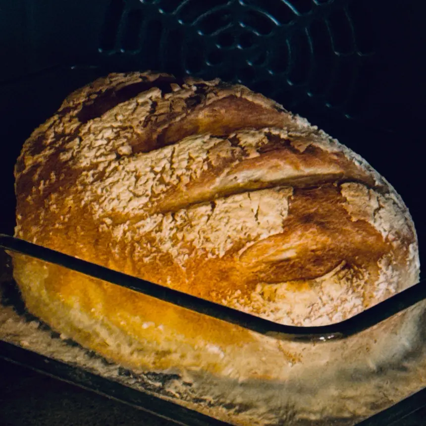 creation thumb for Sourbread  Bread
