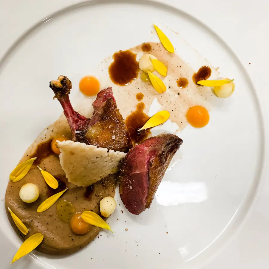 creation thumb for Pigeon breast, chestnut, sweet potatoes