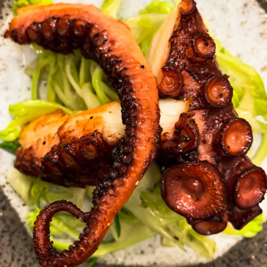 creation thumb for Octopus and puntarelle