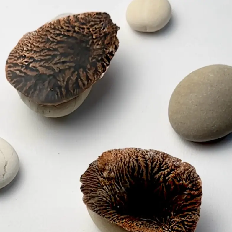 creation thumb for Dendrite Mineral Effect Chocolate Decoration 