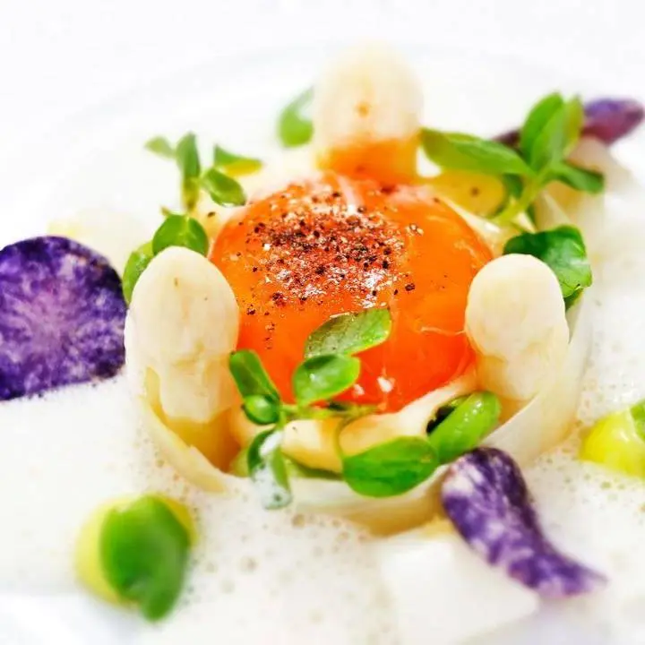 creation thumb for Gently cooked egg yolk|white asparagus|broad bean coulis