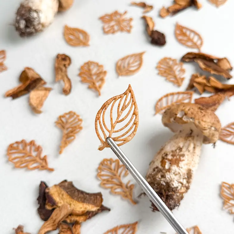 creation thumb for Porcini mushrooms leaves 🍂 🍄