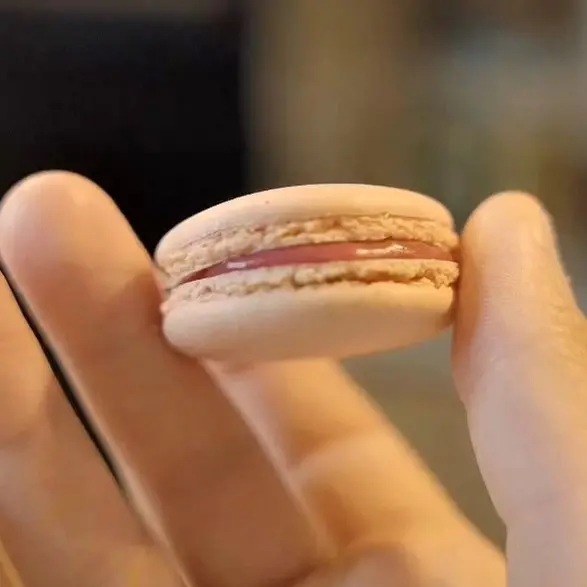 creation thumb for Raspberry Macarons 