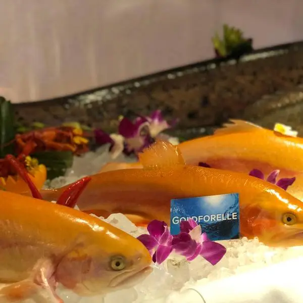 creation thumb for Aschermittwochs Fischbuffet 🐟 Ein wahres Kunstwerk kreiert von unserem Küchenteam! 🦀