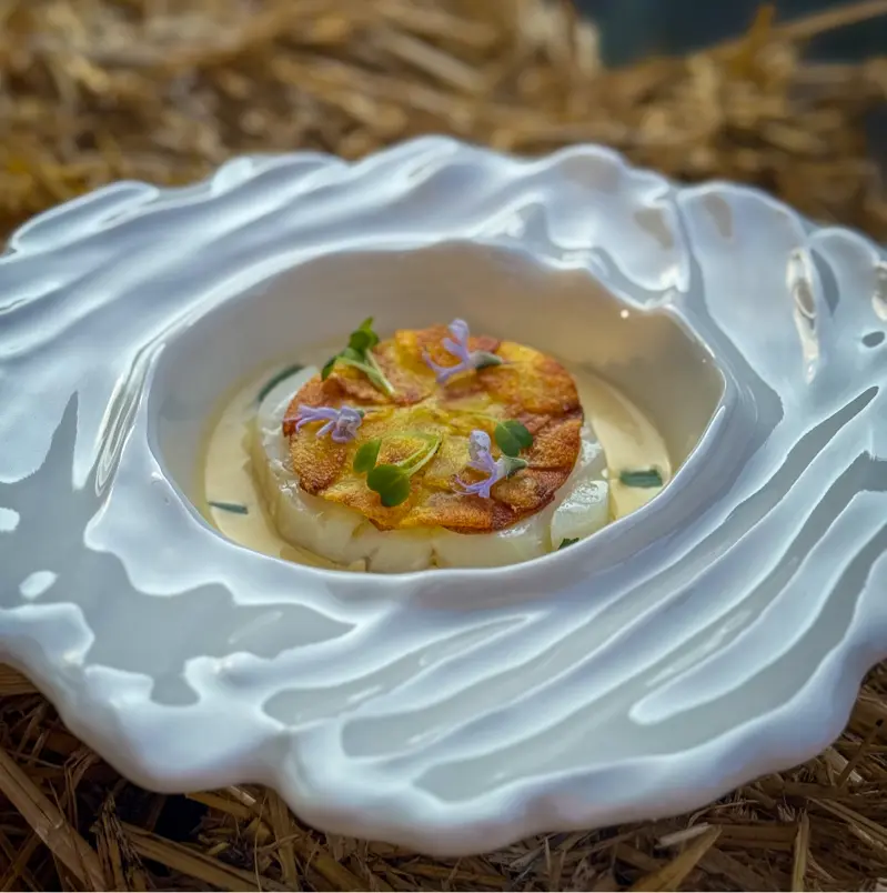 creation thumb for Merluzzo al Vapore con Scaglie di Patate Dorate & Salsa Beurre Blanc all' Estragone