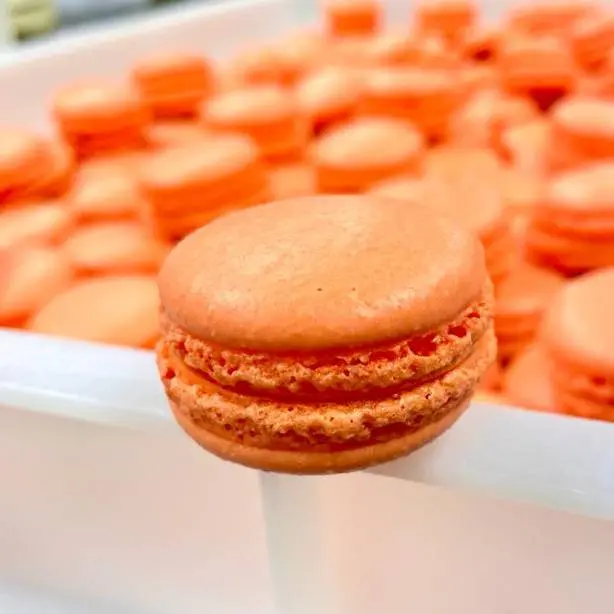 creation thumb for Macaron