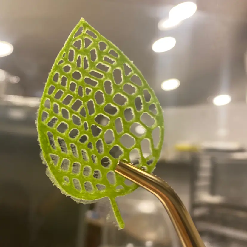 creation thumb for  Matcha Modern Garnish 