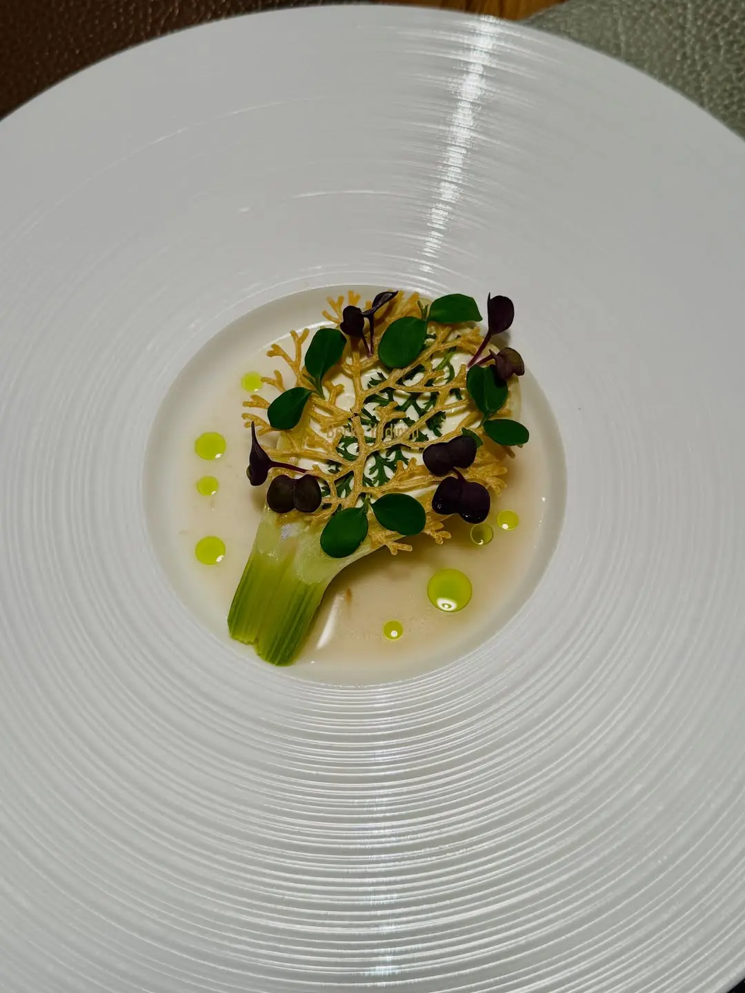 creation thumb for Fennel with Citrus Cream and Dill Oil