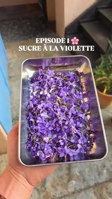 creation thumb for Sucre à la Violette