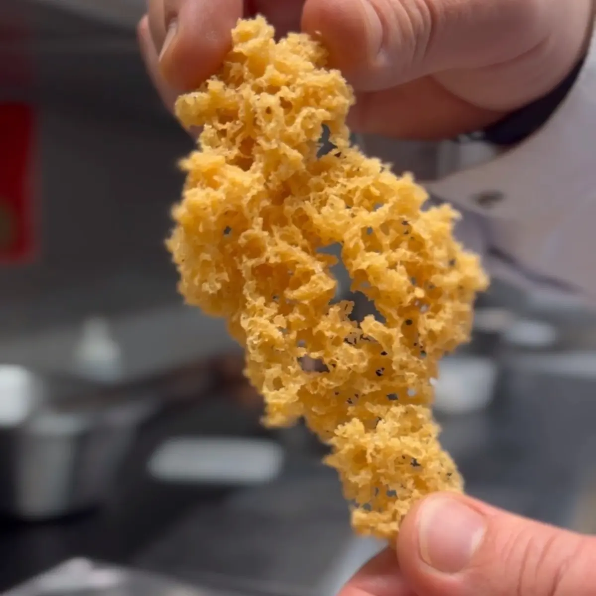 creation thumb for Crispy Chicken Skin Crumbs