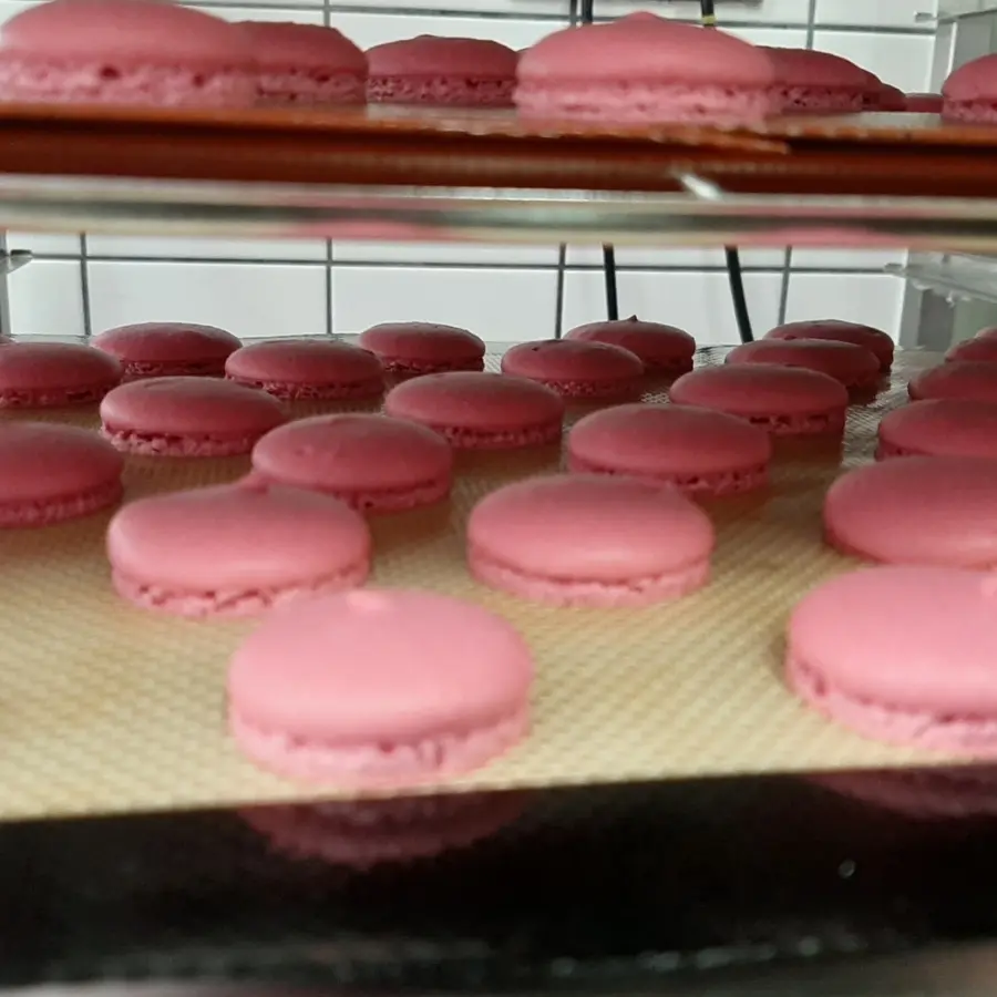 creation thumb for Fresh Macarons, work in Progress. 