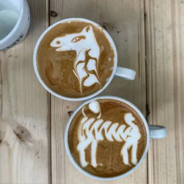 creation thumb for Latte art giraffe