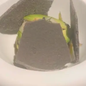 creation thumb for Steps for Squid Ink Meringue