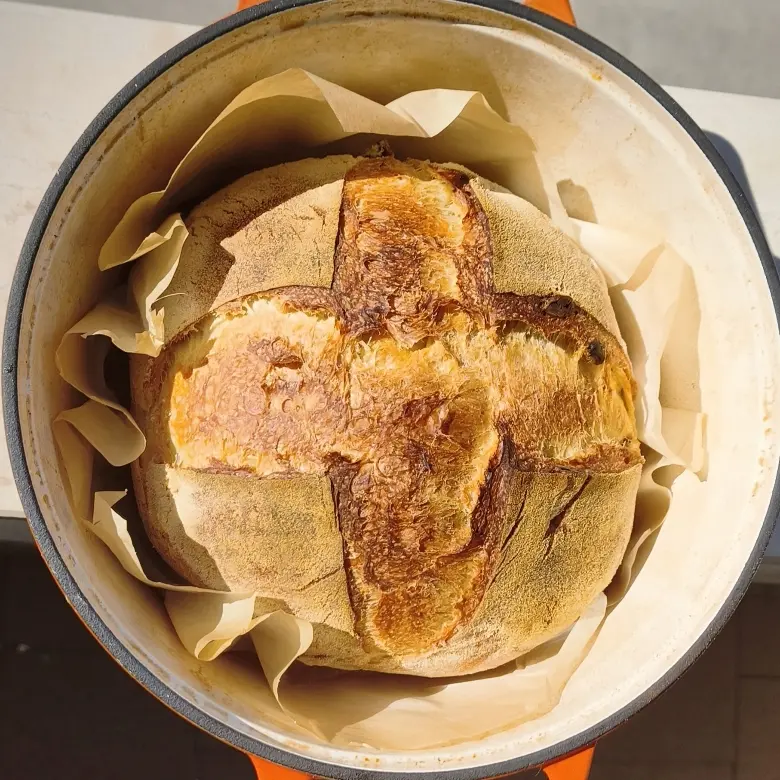 creation thumb for Semolina Sourdough Bread with Pumpkin and Pecan Nuts