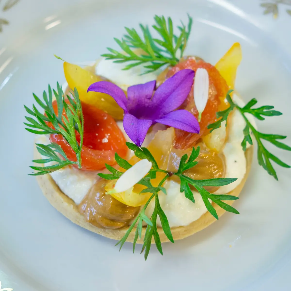 creation thumb for Mürbeteig-Tarte mit Mozzarella-Pesto-Creme