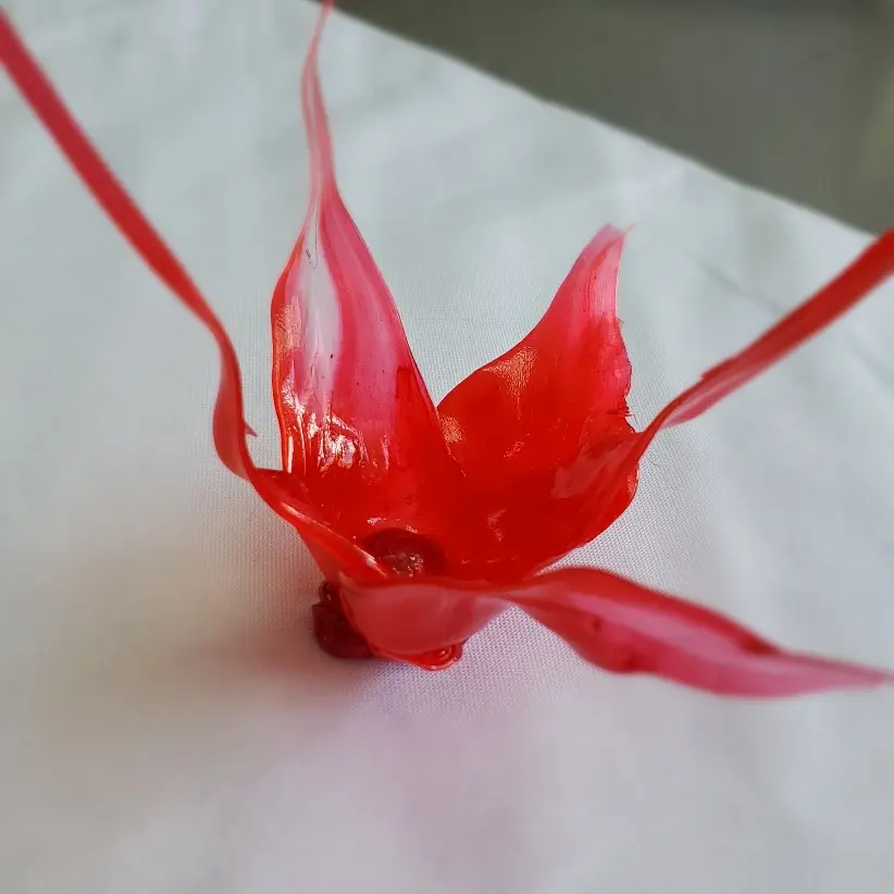 creation thumb for Fiori di caramella allungati