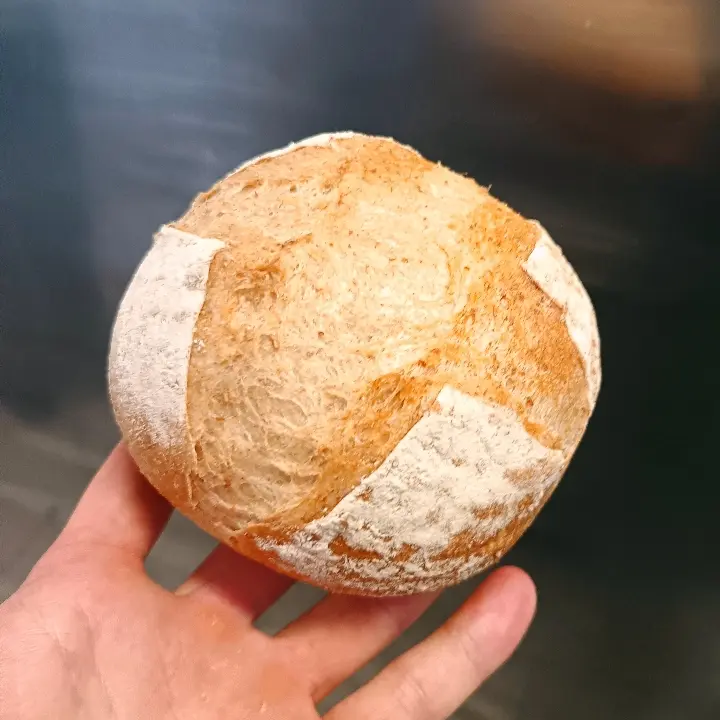 creation thumb for Whole Wheat & Rye Flour Bread (100% Biga - 70% Water)