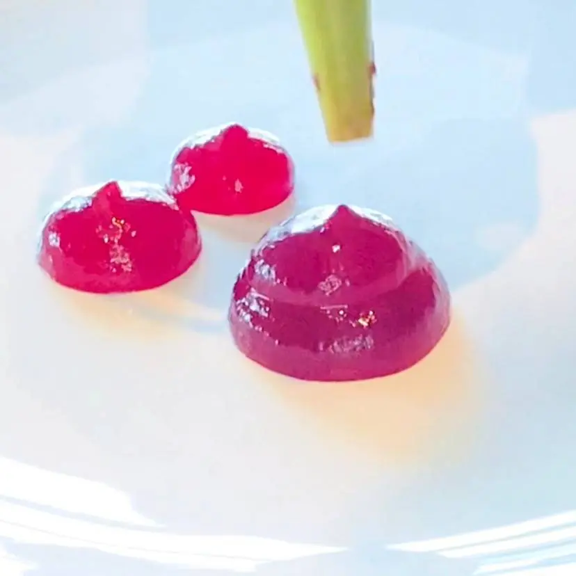 creation thumb for Gel di barbabietola