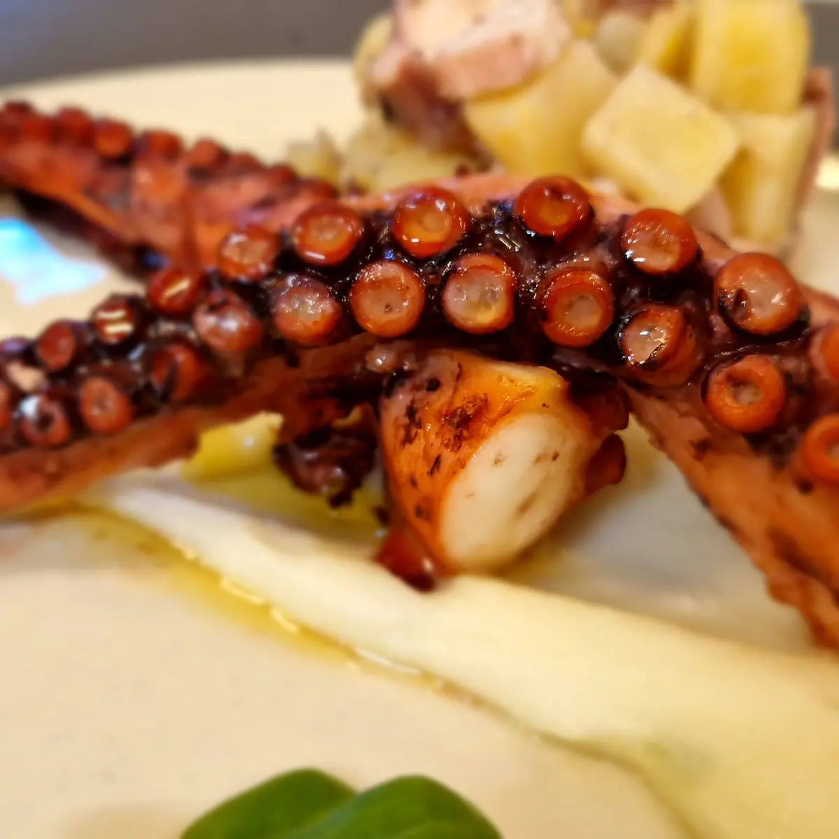 creation thumb for Crispy Octopus