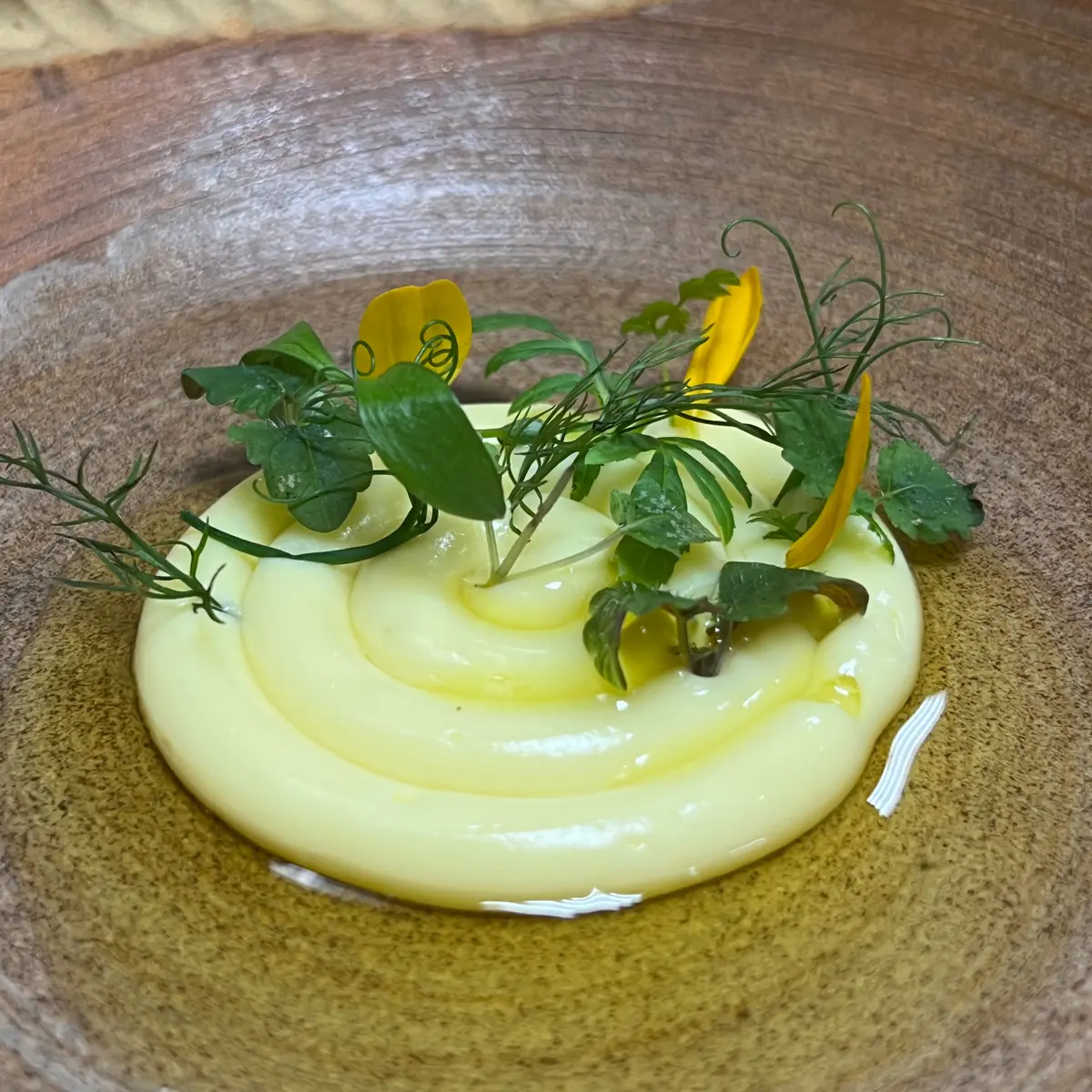 creation thumb for Olive Oil Cream