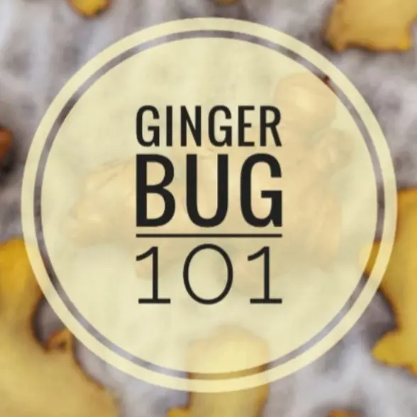 creation thumb for Ginger bug 101