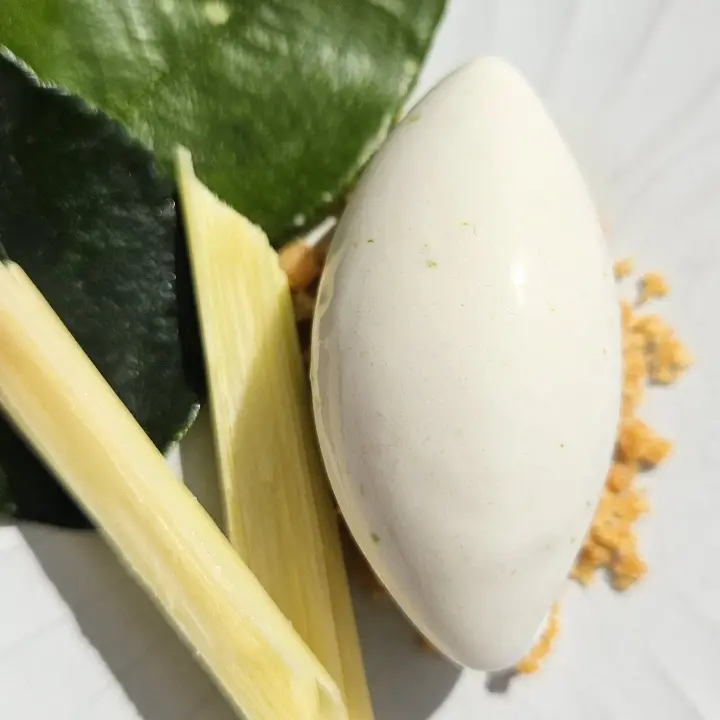 creation thumb for Coconut lime sorbet
