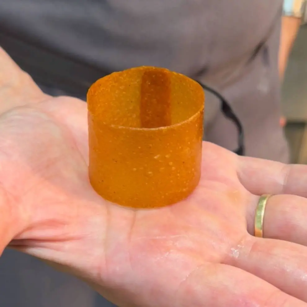 creation thumb for Onion Cylinder