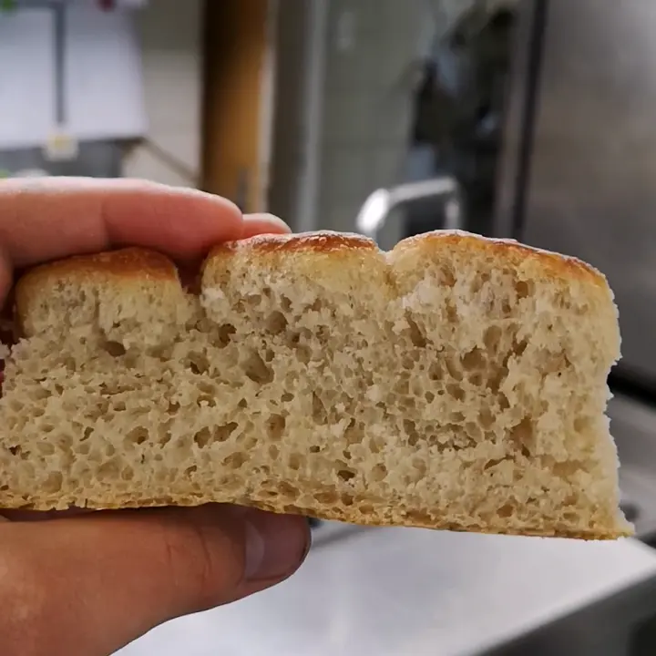 creation thumb for Sourdough Buchtel