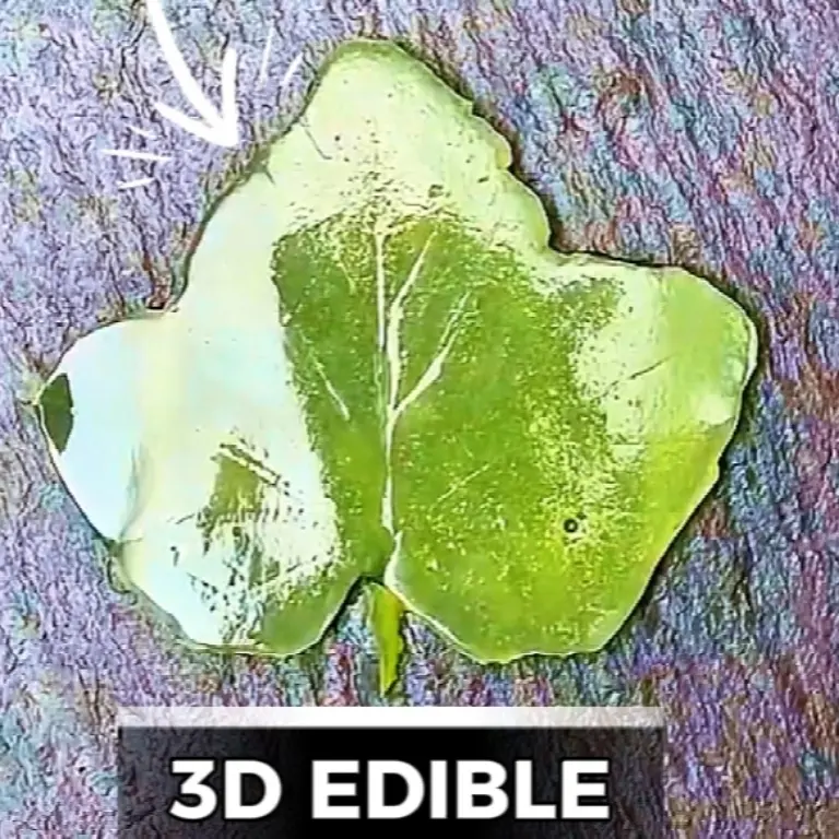 creation thumb for NO MOLD Translucent Cucumber Veil Canvas
