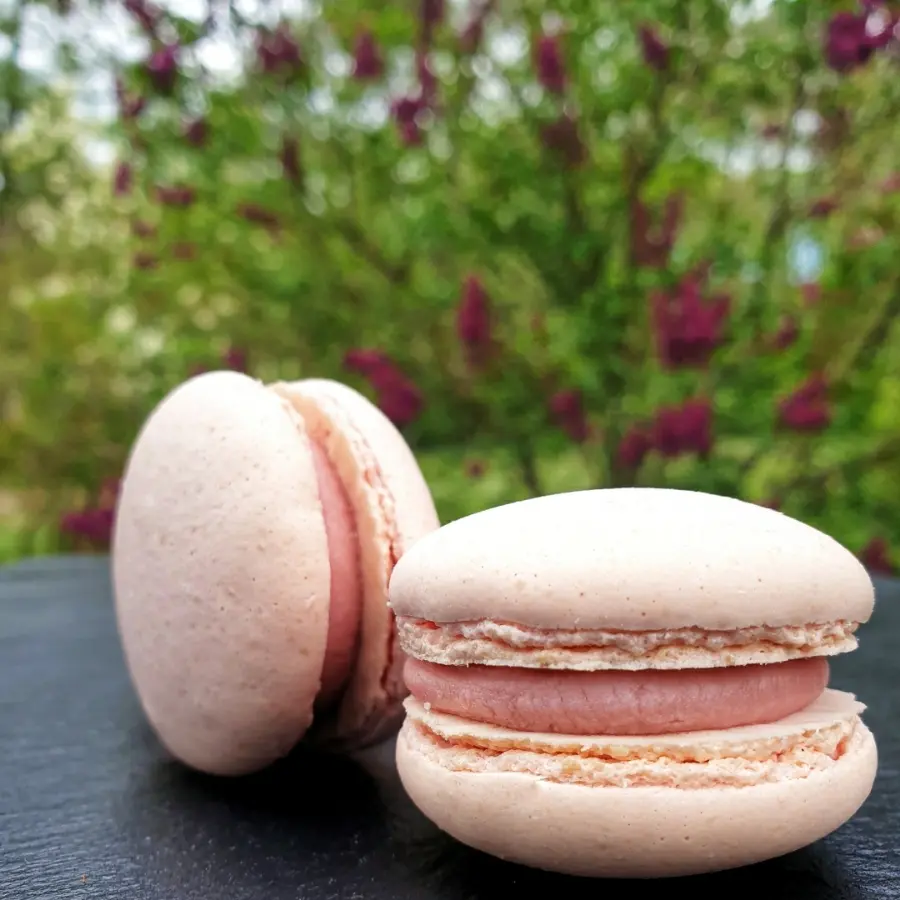 creation thumb for Ruby-Chocolate-Macaron 