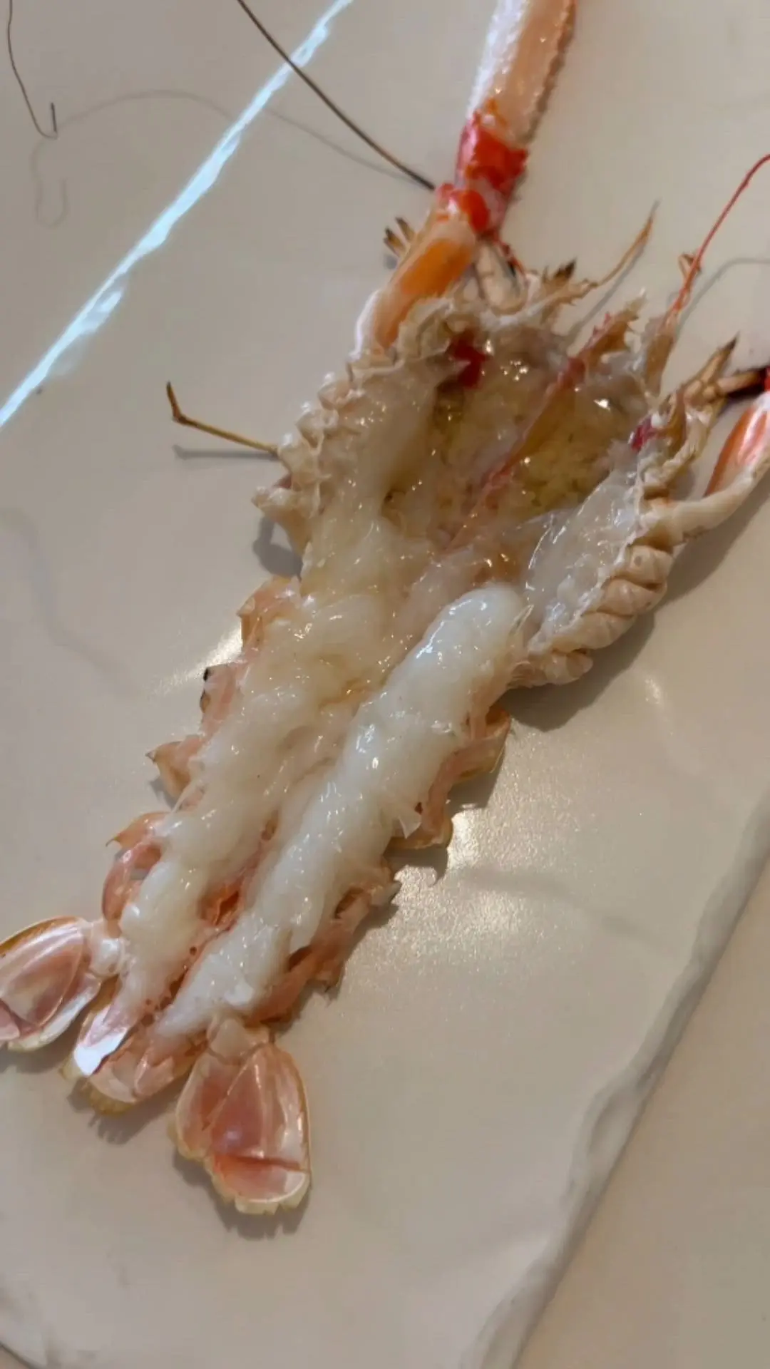 creation thumb for Grilled Norway Lobster 
