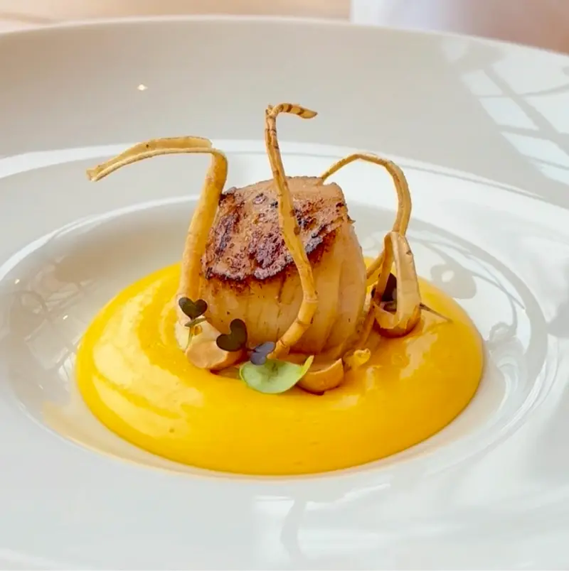Hollandaise Foam Technique