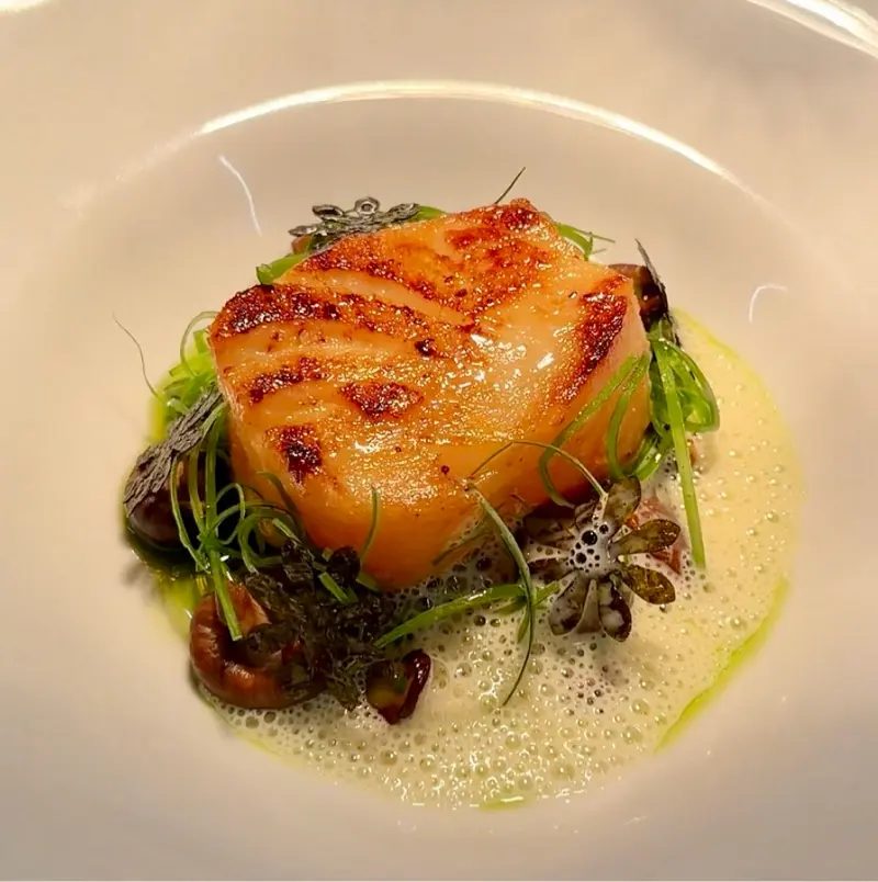 Miso Cod