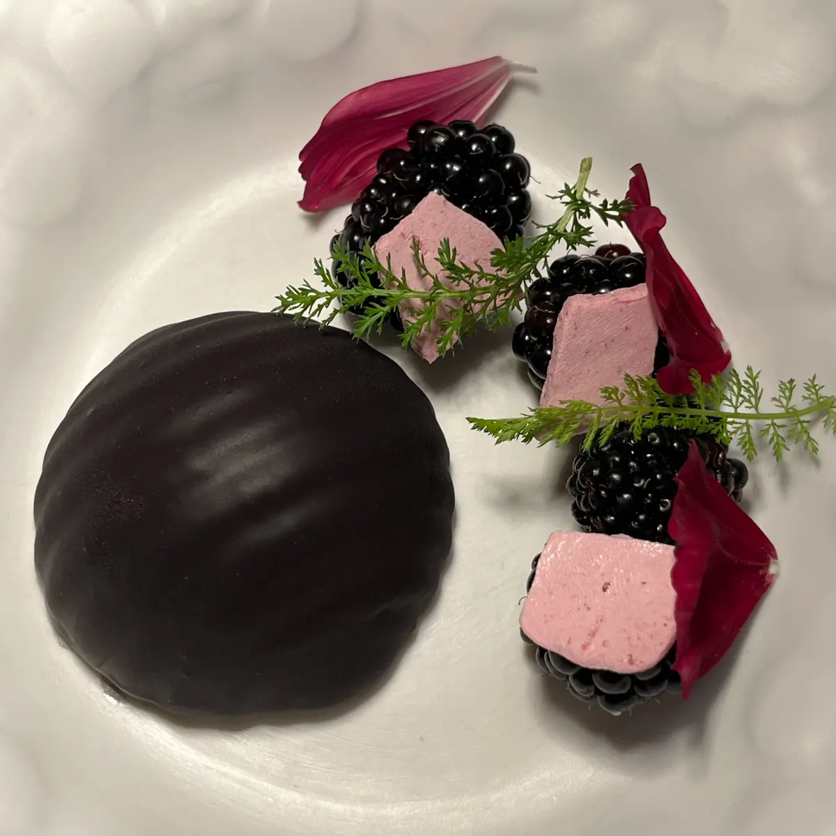 creation thumb for Blackberry Epazote Entremet